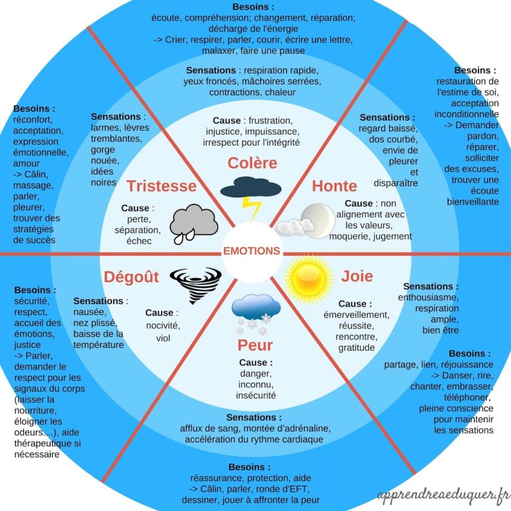 intelligence émotionnelle roue des émotions